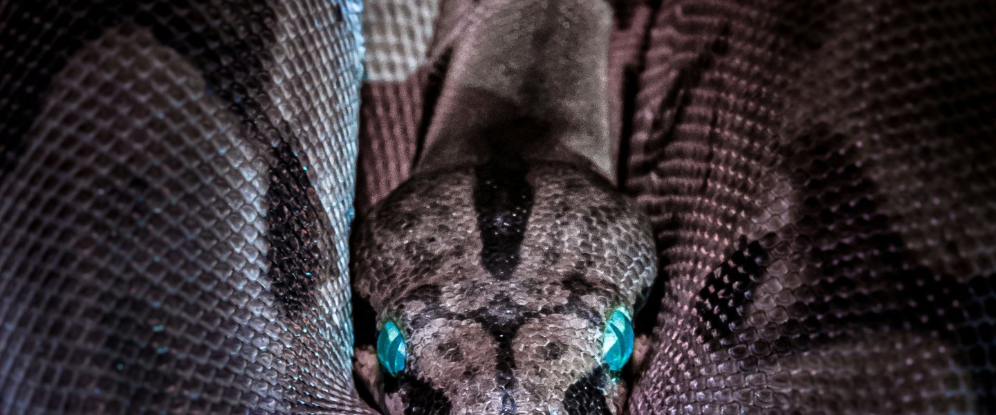 jan_kopriva_unsplash